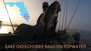 Topwater Lake Okeechobee Bass / Kayak Fishing