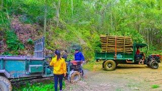 Sell Old Trucks and Buy New Trucks To Work More Efficiently, Transporting firewood - The Farm Girl