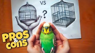 Bird Cage Types: Which One is Right for Your Pet?