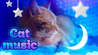 Cat music  528 Hz Healing music to calm your cat - Stress relief 10 hours