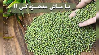 هر چقدر ازش بخوری سیر نمیشی اینقدر که لذیذه غذای فوری و ساده