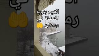 الفرح بتوبة العصاة في رمضان وعودتهم للمساجد #السعودية #tiktok #ترند #لايك #shortvideo #islamic