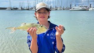 Fishing edit #edit #fishing #australia #toadfish #pufferfish #edits #funny #cool