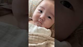 청순한척  #허니어니네 #아기 #baby #cutebaby #연년생육아 #7개월아기 #하언이 #순둥이 #힐링영상 #babyeyes #mushie