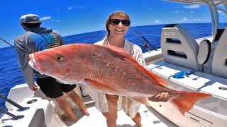 2 hours of EPIC Florida American Red Snapper Catch, Clean and Cooks