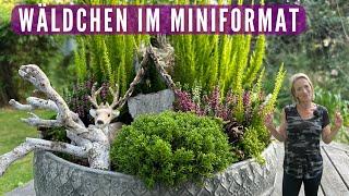 DIY Wäldchen im Miniformat  Herbstdeko mit Heide für den Balkon, Garten & die Terrasse 