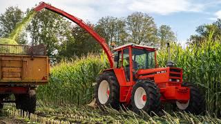 Oldtimer Hakseldag Dalen 2024 | Classic maize harvesting | Dozens of tractors & choppers!