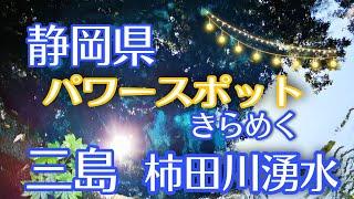 【柿田川湧水】　柿田川公園　柿田川湧水　きらめく　パワースポット　静岡県　三島市