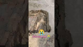 #viralvideo #shortvideos #trending #bayan #islamicmusic #shorts #yt_shorts #youtubeshorts