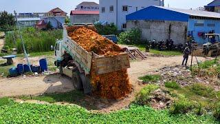 Start New Project Landfill Develop Area !! Bulldozer Push Stone Soil and 5Ton Truck Spreading Stone