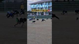 4足歩行ダッシュ