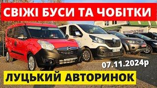 СВІЖІ ЦІНИ НА БУСИ ТА ЧОБІТКИ /// ЛУЦЬКИЙ АВТОРИНОК /// 7.11.2024р. #буси #автопідбір #автобазар