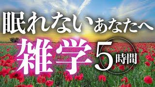 【睡眠導入】眠れないあなたへ雑学5時間【合成音声】