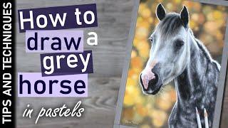 How to draw a grey dapple horse in pastels | Drawing fur/hair tips