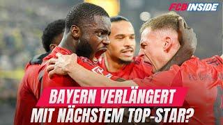 Der FC Bayern verlängert wohl mit dem nächsten Topstar!