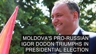 Moldova's Pro Russian Igor Dodon Triumphs in Presidential Election