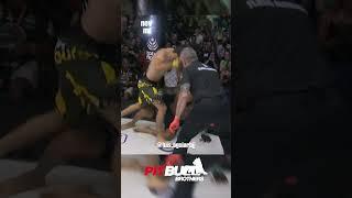 O NOVO CAMPEÃO DO JUNGLE FIGHT PESO MOSCA É DA PITBULL BROTHERS #mma #nocaute #bjj #junglefight