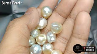 Burma Moti Price || Natural Burma Pearl in wholesale price || Top quality burma mukta discount price