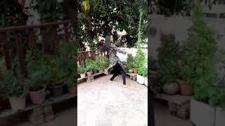 Morni Banke | SRISHTI RHYTHM Choreography