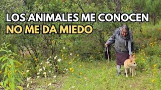 "No me da miedo, los animales me conocen"