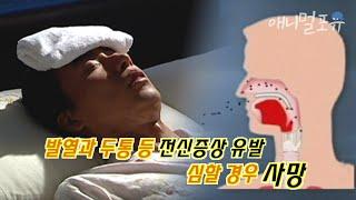 시청자 요청 평소 건강했던 한 남자가 나들이 다녀온 다음날 갑자기 쇼크로 실신한 이유?? l KBS 위기탈출 넘버원 060923 방송