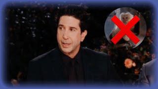 David Schwimmer Hates Marcel The Monkey