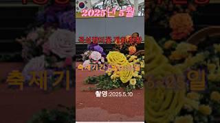 2025년 5월 곡성 세계장미축제 장미꽃 개화 상태 소개