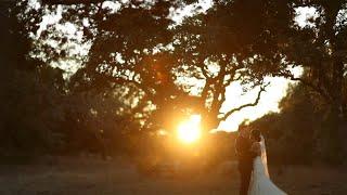 Park 31 Venue San Antonio Destination Wedding