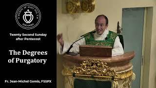 The Degrees of Purgatory - Sermon by Fr Gomis (6 Nov 2022)