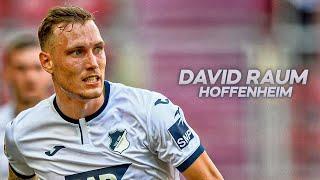 David Raum 2022 - Hoffenheim - Germany - Magic Skills and Goals