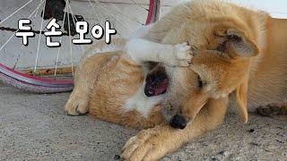 덫에 걸리고 말았습니다
