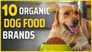 Top 10 Dog Foods Brands | Best Food For Your Dog | Makoree Pedia
