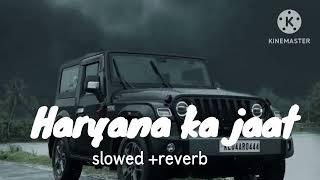 Haryana ka jaat (lofi+reverb)/Raju Punjabi #lofi #reverbsong