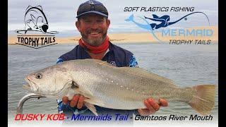 Dusky Kob on Gamtoos with Mermaids Tail Plastics