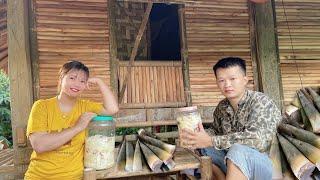 Harvest bamboo shoots to make chili bamboo shoots