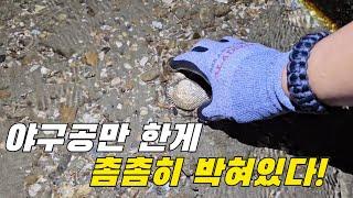 해변 물이빠지면 야구공만 한것들이 촘촘히 박혀있다?! +먹방 ft.가경주로뎀펜션