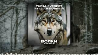 Tural Everest, Руслан Добрый - Волки | Лезгинка | New version 2024 #turanmedia #ruslandobry #tural