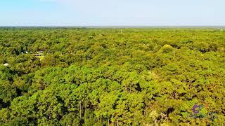 Land for sale in Orange City, Florida