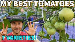 7 Tomatoes I MUST Grow EVERY Year: My BEST Tomato Varieties