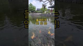 먹이를 향한 집념