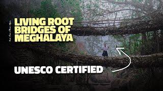 Hiking to LIVING ROOT BRIDGES in Meghalaya | Cleanest river in Asia in DAWKI | Meghalaya - Part 1 |