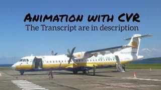 Aero Caribbean Flight 883 Crash || Animation with CVR. (Subtitles/CC On)