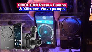 SICCE Syncra and XStream Wave & SDC Return Pumps  -0 Rap 2019