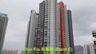 Choi Hing Court 彩興苑 (May, 2019)