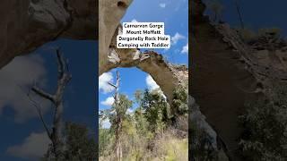 Carnarvon Gorge Mount Moffatt section - Dargonelly Rock Hole camping with a toddler