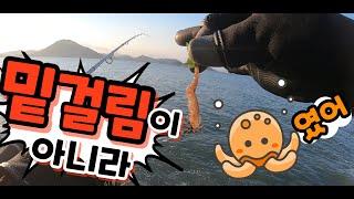 고흥녹동항워킹문어포인트전부공개,채비잡는팁공개(octopus fishing)2021.7.27