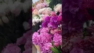 Florist near me - Blush Blooms of Beaconsfield | Order Flowers and Gifts Online