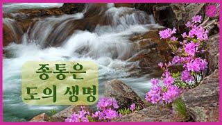 도전님 훈시 | 종통은 도의 생명 | 대순진리회 여주본부도장