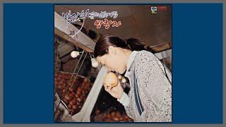 방랑자 - 박인희 / (1976) (가사)