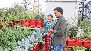 బ్రోకొలి మొక్కలు విత్తనాలు, నారు లేకుండా ఇలా పెంచొచ్చు How to grow Broccoli at home